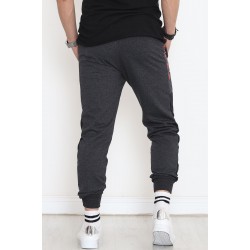 Baskılı Unisex Eşofman Altı Füme - 18539.1820.